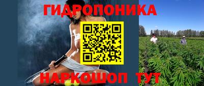 ГАЛЛЮЦИНОГЕННЫЕ ГРИБЫ Беслан