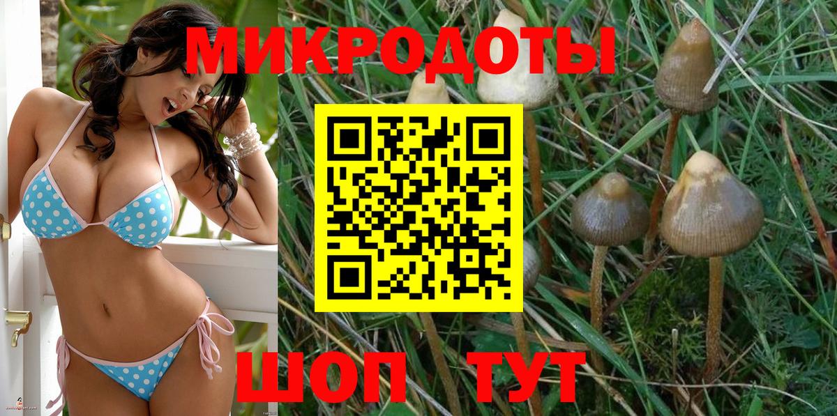 Галлюциногенные грибы мицелий Боровичи
